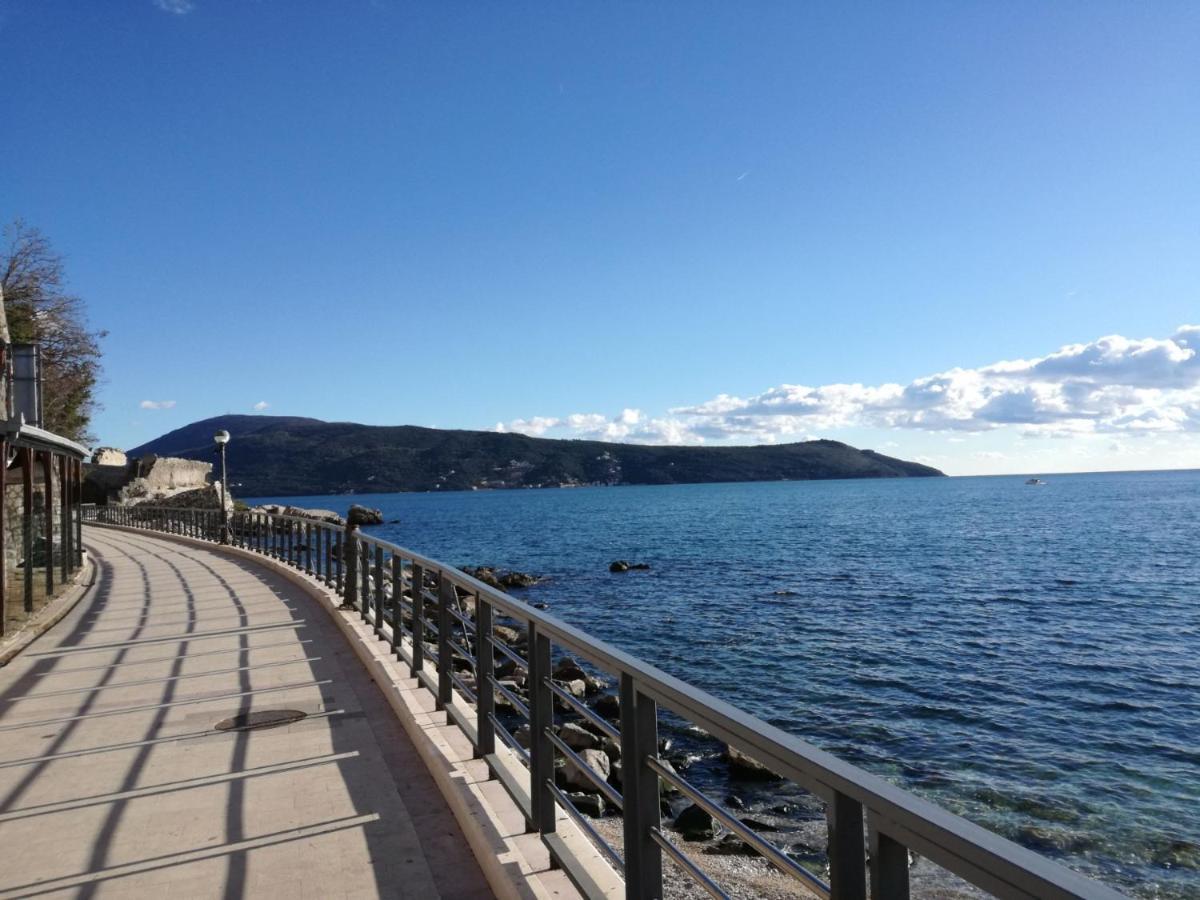 Apartments Ogurlic Herceg Novi Room photo